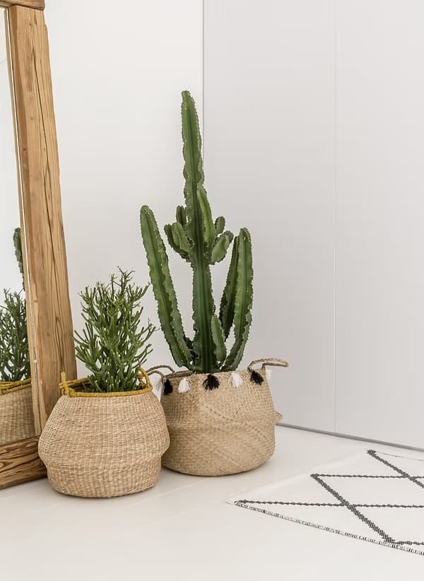 Couples and family therapy