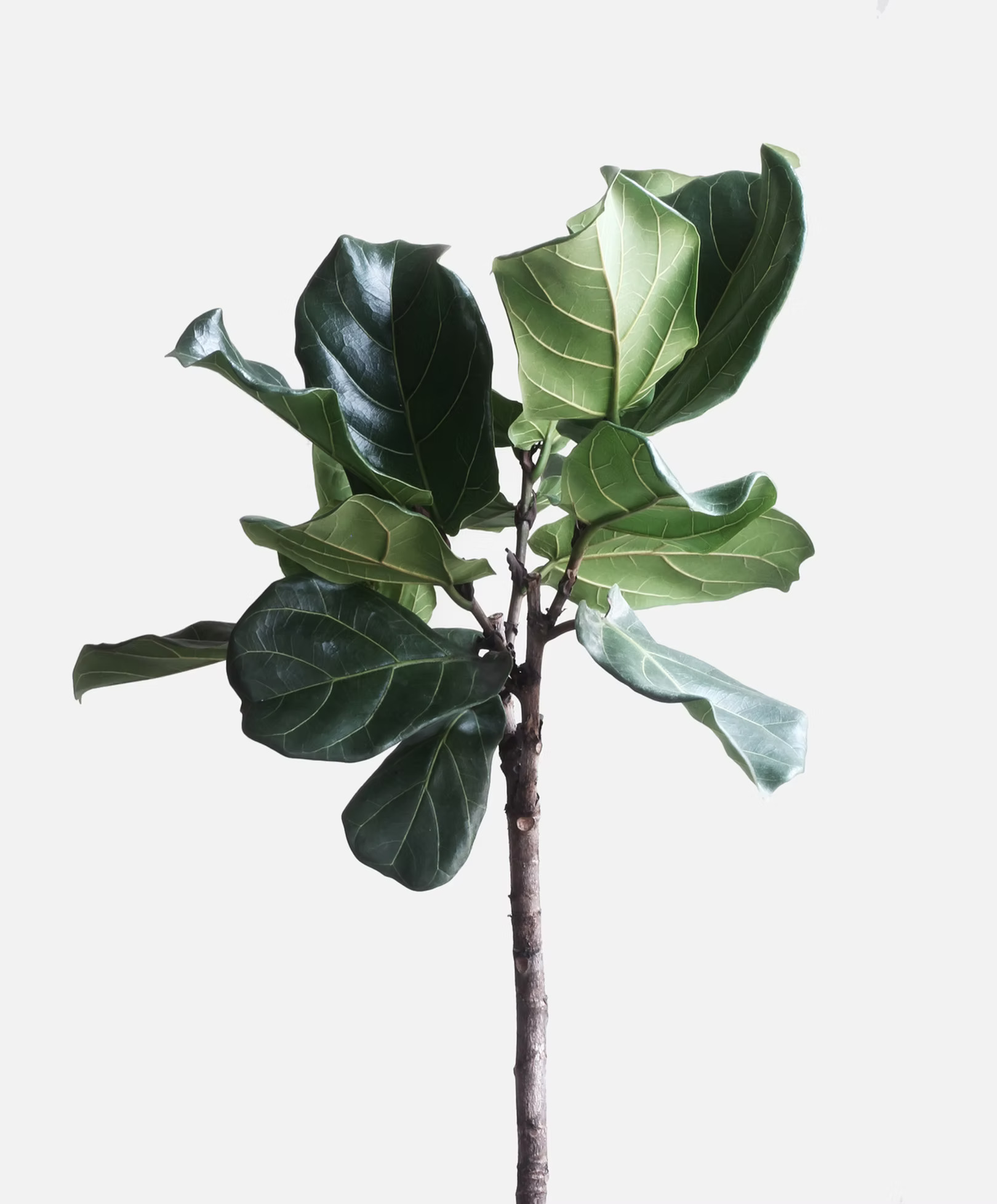 Quiet space for reflection and therapy sessions